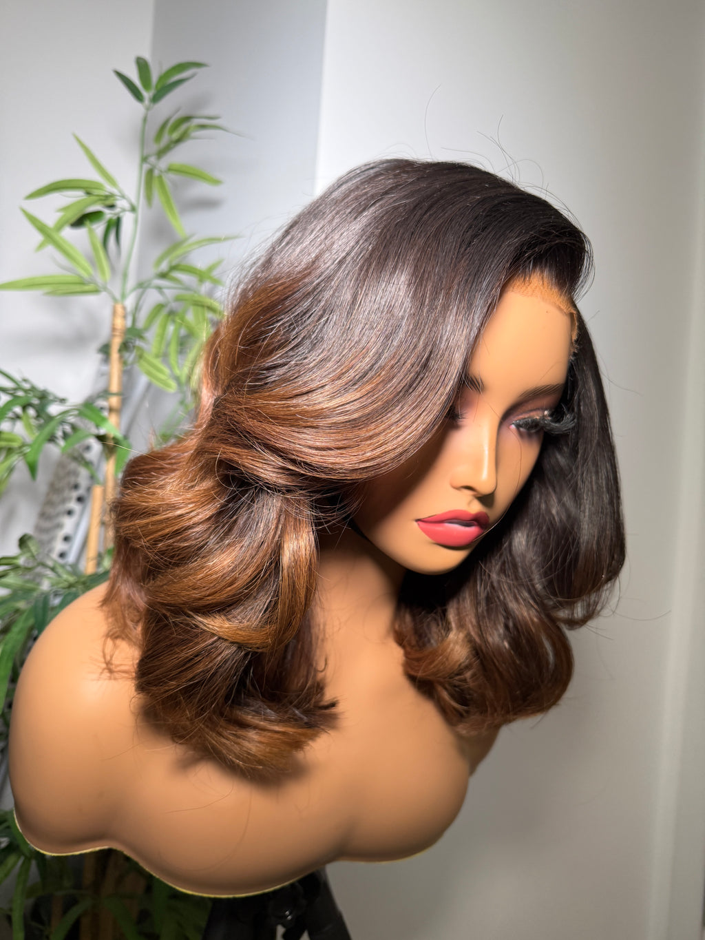 Ivy Ombre